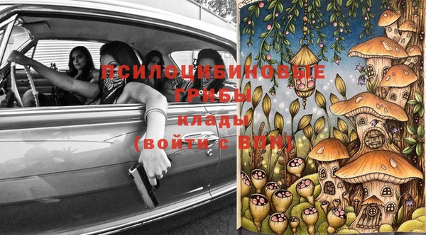 молекула духа Белокуриха